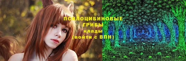 spice Баксан