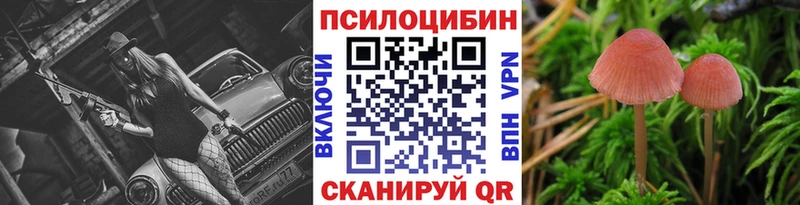 Псилоцибиновые грибы ЛСД  даркнет телеграм  Буйнакск  ссылка на мегу сайт 